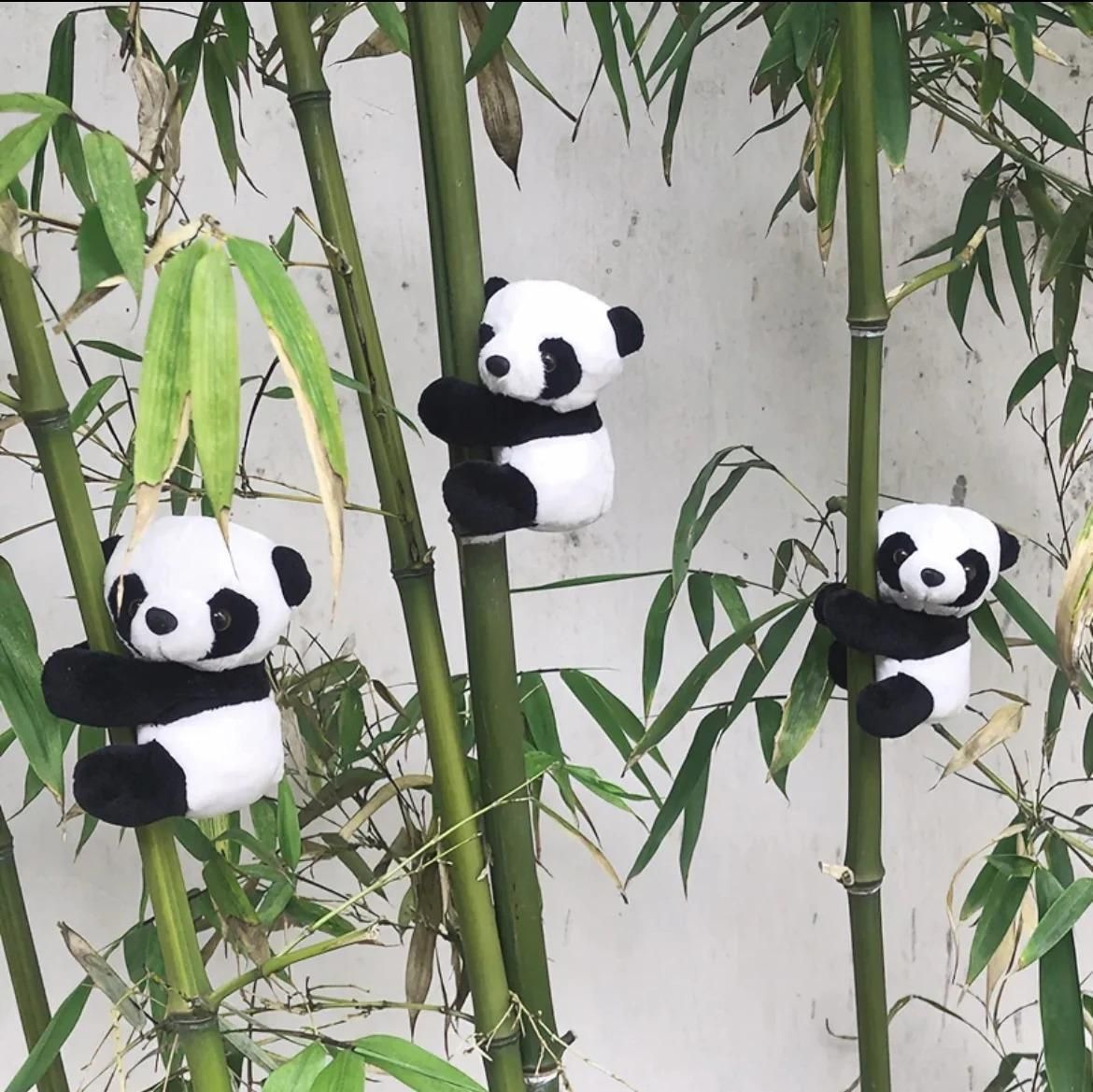 Stylish Refrigerator Cute Magnetic Panda for Home and Office (Pack of 4)